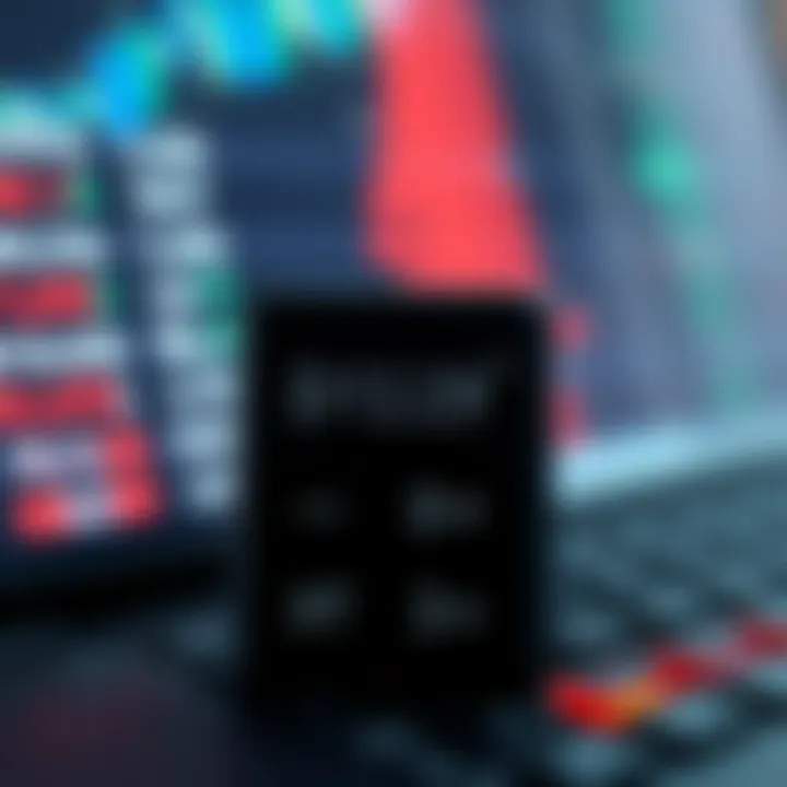 Screenshot of a binary division calculator interface displaying quotient and remainder