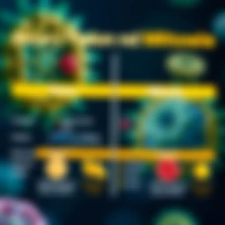 Comparison chart displaying differences between binary fission and mitosis with cellular structures and organism types