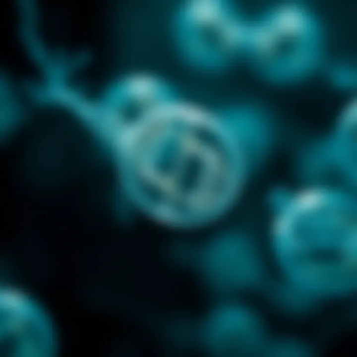 Diagram illustrating the binary fission cycle in bacteria showing cell elongation, DNA replication, and division