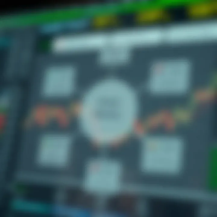 Diagram showing different types of forex trading accounts available for Pakistani traders