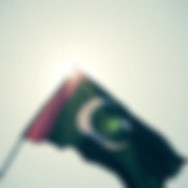 Colorful flag representing non-binary gender identity against a bright sky